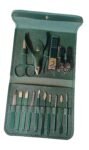 Taxila 16 in 1 Manicure Kit Stainless Steel Pedicure Kit Nail Care Tools Toenail Clippers with Luxury Leather Bag (Green)