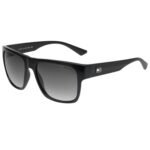 Tommy Hilfiger Men Sunglasses