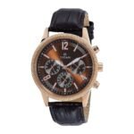 Titan Neo Analog Silver Dial Men’s Watch NM1734WL01/NN1734WL01/NP1734WL01