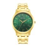 Titan Karishma Radiance Green Dial Analog Stainless Steel Strap Watch for Men-NS1825YM07/NT1825YM07