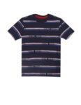 U.S. Polo Assn. Boys Cotton Regular Fit T-Shirts