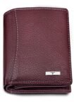 URBAN FOREST Brown Leather Men’s Wallet (UBF130BRN1018)