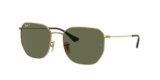 Ray-Ban Unisex Irregular Sunglasses – 0RB3695I