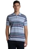 Peter England Men’s Cotton Polo Regular Fit Shirt