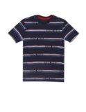 U.S. Polo Assn. Boys Cotton Regular Fit T-Shirts