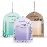Gel Wink Hanging Car Perfume – Assorted Pack of 3 | Long-Lasting Gel Based Car Air Freshener | Car Accessories | Last Up to 30 Days