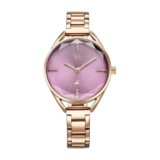 Fastrack Vyb Aurora Quartz Analog Purple Dial Rose Gold Alloy Strap Watch for Women-FV60052WM01W