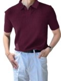 Leriya Men Best Polo Fashion T Shirt for Men