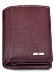URBAN FOREST Brown Leather Men’s Wallet (UBF130BRN1018)